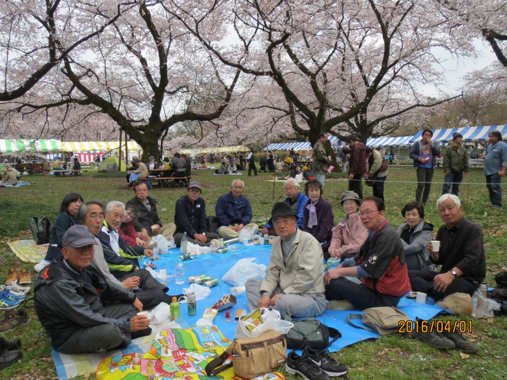 IMG_0164 桜の下での宴会（全員）